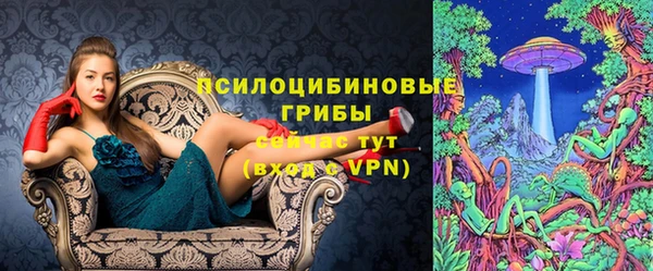 молекула духа Ельня